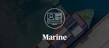 A thumbnail for Marine Webinars