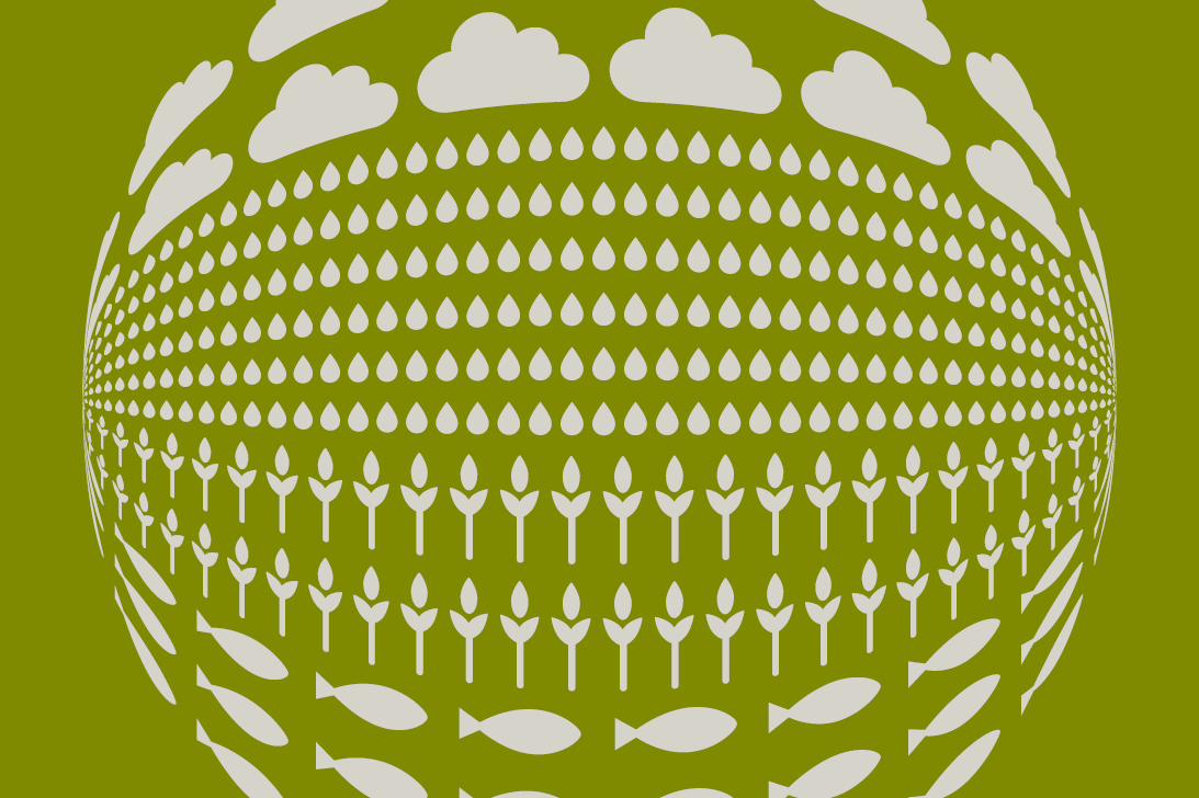 FFF_Enviromental_2017_1093x728px