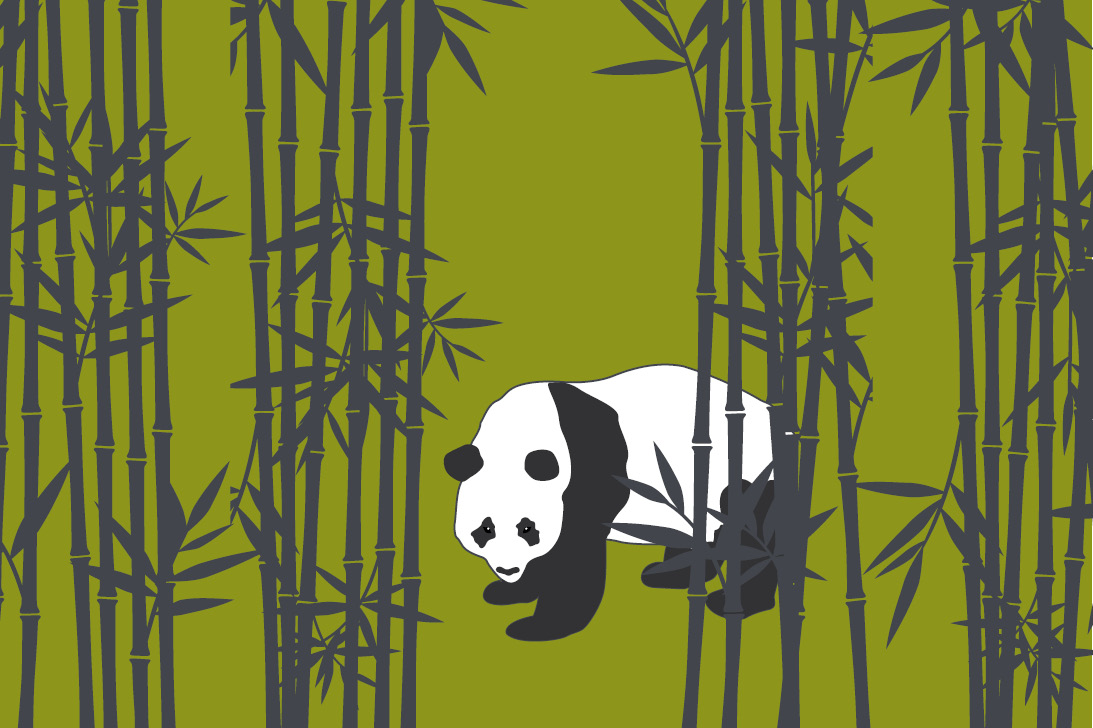 I panda: chi non li adora?