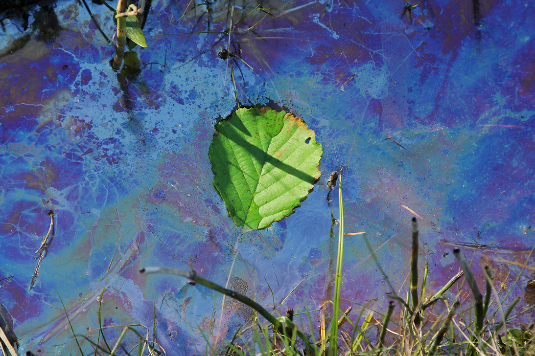 Let's Talk: environmental liability