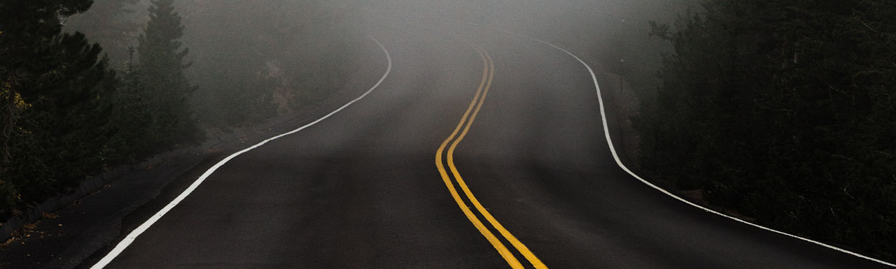 A road in the woods with fog in front A road in the woods with fog in front