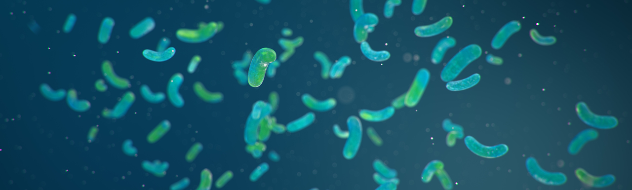 Microorganisms visible in a solution in blue