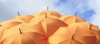Casualty Conversations: Key trends in a transitioning market