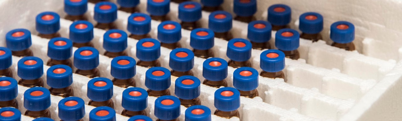 Bottles lined up in cases Bottles lined up in cases