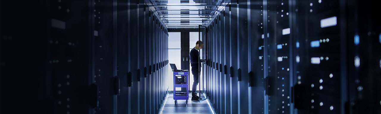 Data servers and a person working on them