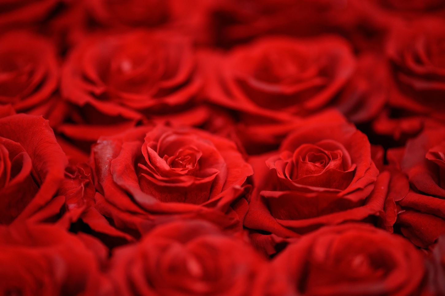 Love is in the air