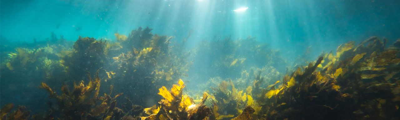 Pablo Crain_Climate Change_1280x385