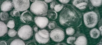 A lot of hail on melting water