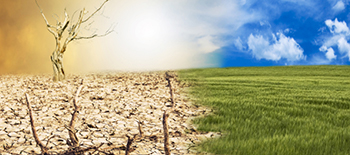 How using insurance makes countries more resilient: Challenges, opportunities and misconceptions