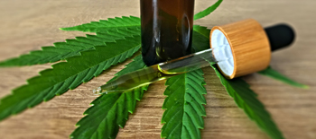The CBD Dilemma