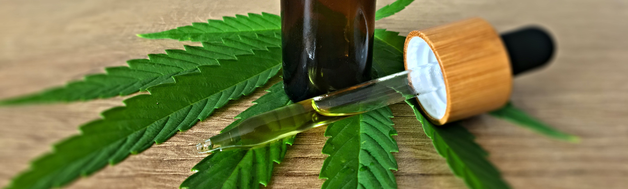 CBD dilemma_1280x385