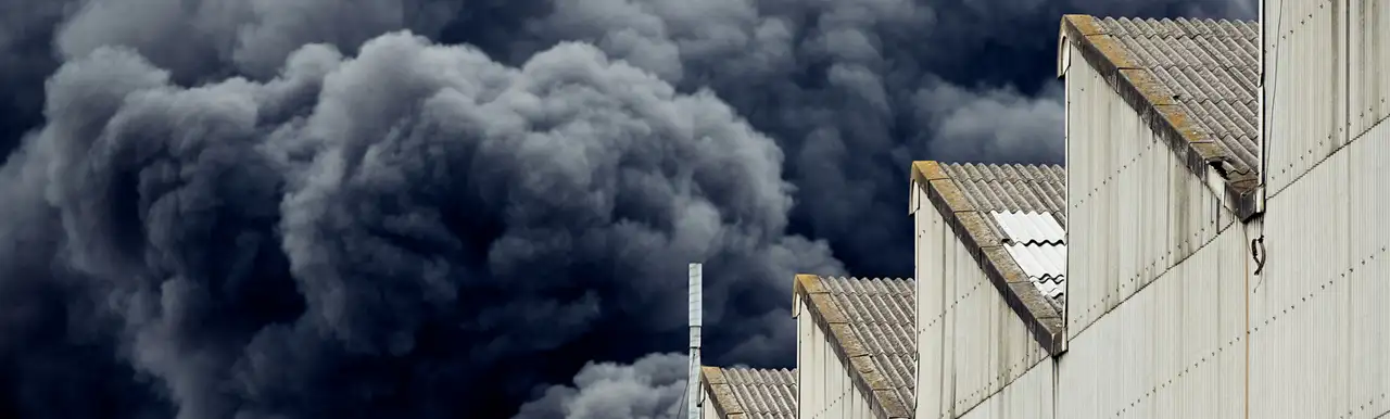 Wildfires: A Newly Emergent and Persistent Threat to Industrial Facilities Wildfires: A Newly Emergent and Persistent Threat to Industrial Facilities
