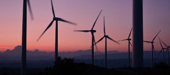 Windmills on a farm