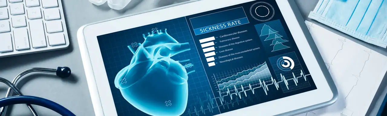 Healthcare systems: emerging risk trends for the wholesale market