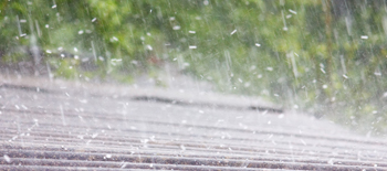 Hail small Hail small