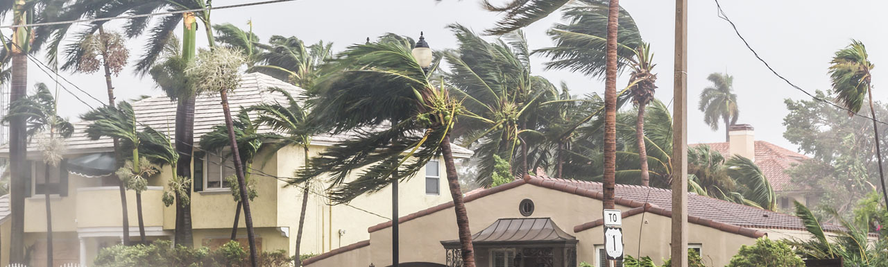 Preparing for emerging risks