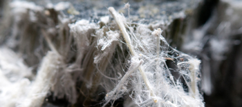 Asbestos containing material_350x155