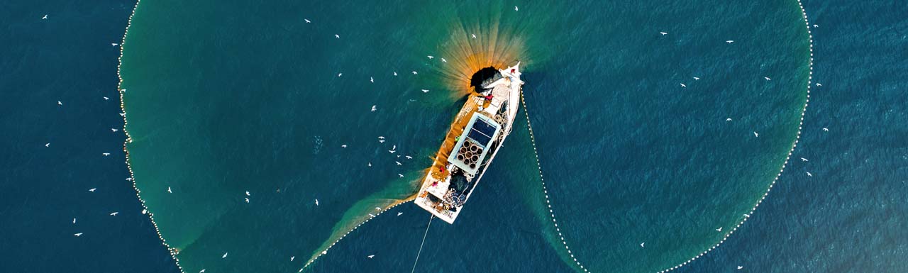 Illegal fishing
