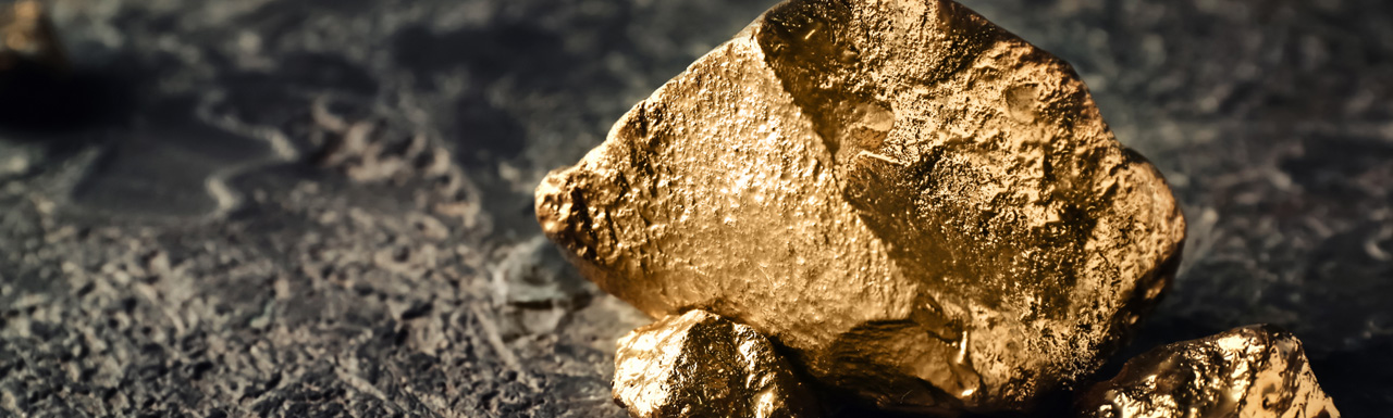 Gold specie Gold specie