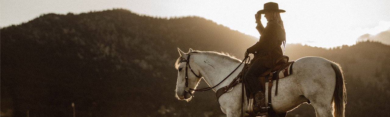 Can Insurance Tame the Wild West? Can Insurance Tame the Wild West?
