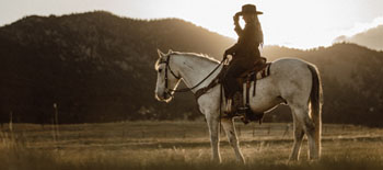 Can Insurance Tame the Wild West?
