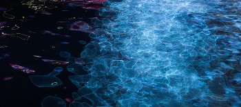 Fish farming moves onshore