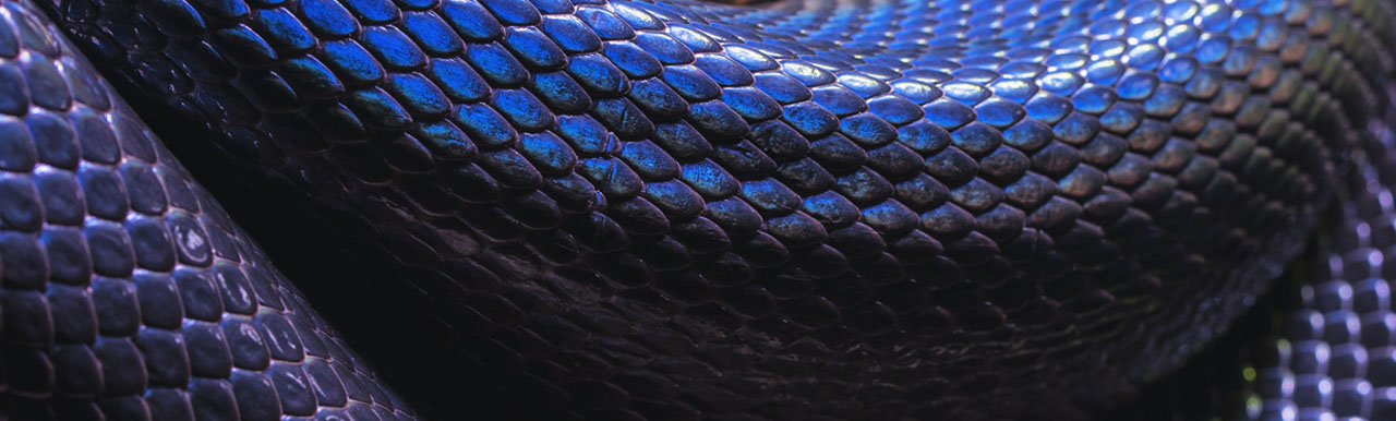 Social inflation, nuclear verdicts, and reptile theory: 5 ways to protect your A/E firm Social inflation, nuclear verdicts, and reptile theory: 5 ways to protect your A/E firm