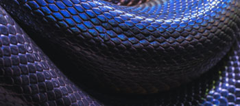 Social inflation, nuclear verdicts, and reptile theory: 5 ways to protect your A/E firm