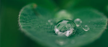 Be the change: Taking a lead in sustainability to build a more resilient future Be the change: Taking a lead in sustainability to build a more resilient future