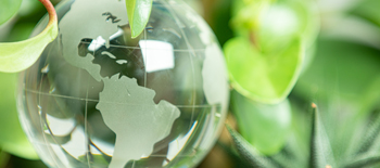 A new environment for environmental liability A new environment for environmental liability