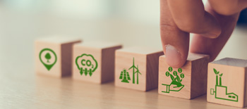 Environmental insights ESG programs Environmental insights ESG programs
