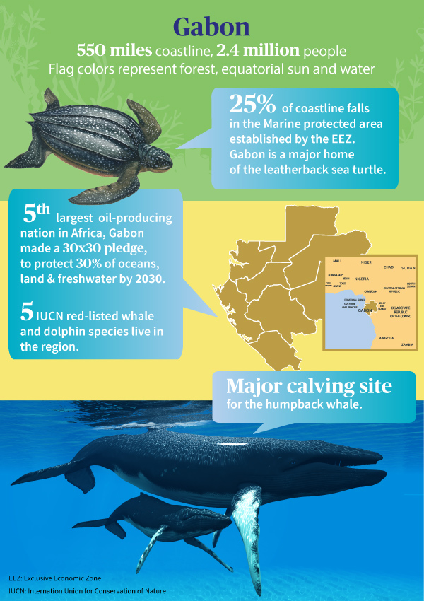 Gabon's commitment to conservation infographic