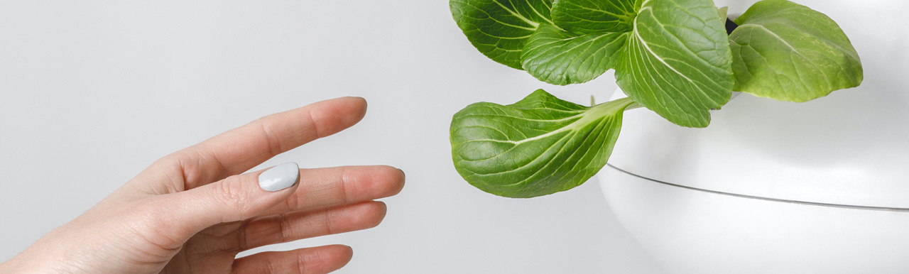 FFF_Going green with hydroponics_1280x385
