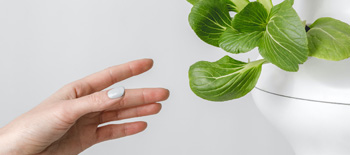 Going Green with Hydroponics: 6 Environmental Benefits of Water-Based Agriculture