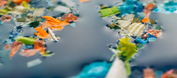 Microplastics; an emerging future risk