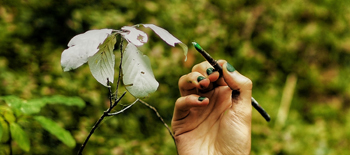 Fine Art and Sustainability