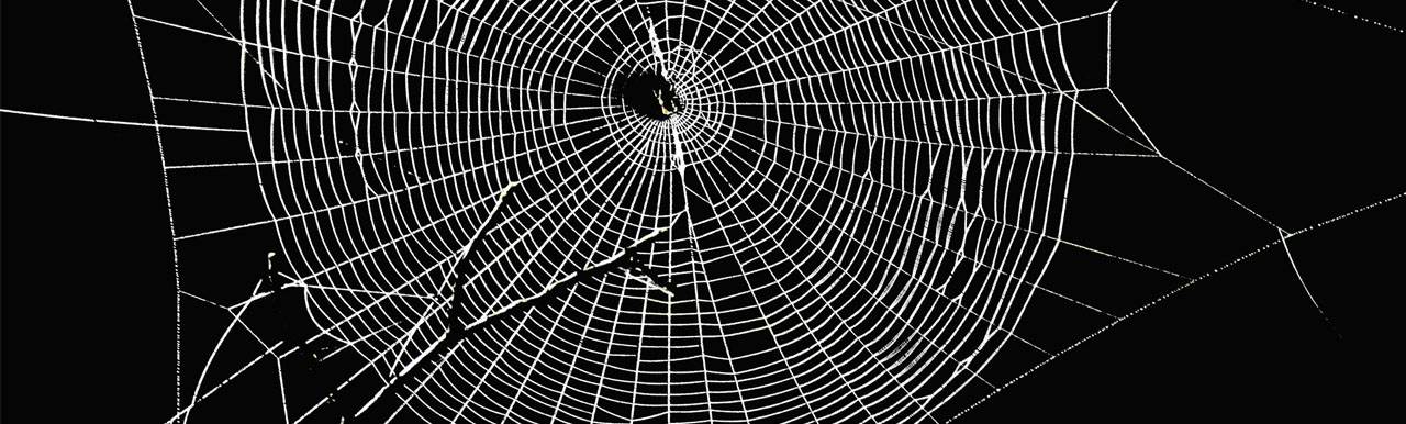 The Emerging Risk of Data Extortion