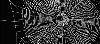 The Emerging Risk of Data Extortion The Emerging Risk of Data Extortion