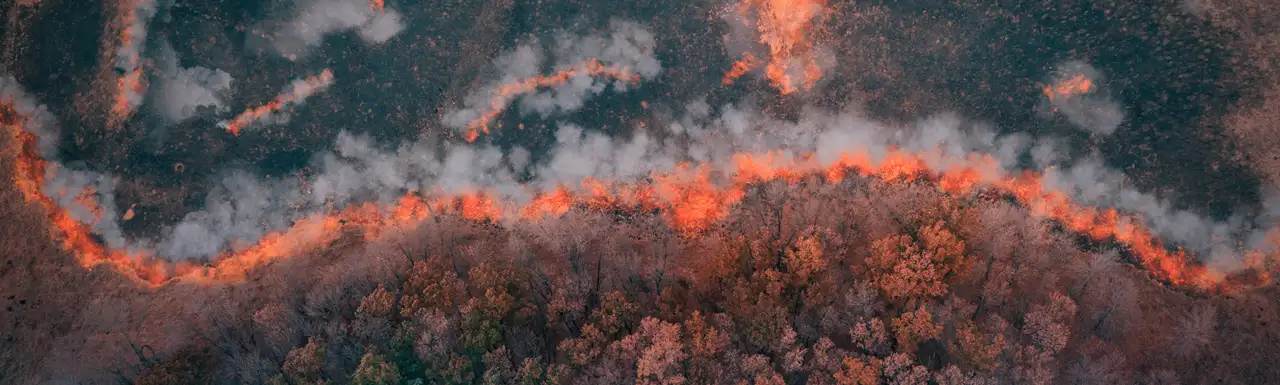 Wildfires