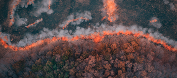 Wildfire risk; an evolving global peril