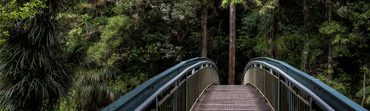 Addressing biodiversity loss: Opportunities and risks for design professionals Addressing biodiversity loss: Opportunities and risks for design professionals
