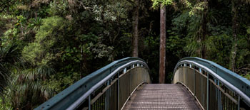 Addressing biodiversity loss: Opportunities and risks for design professionals Addressing biodiversity loss: Opportunities and risks for design professionals