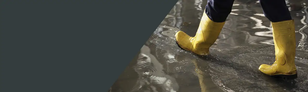 Construction Water damage