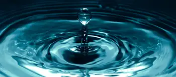 How can we use nature to combat water risk?