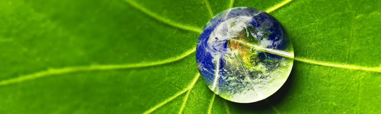 Future of the global environment_1280x385 Future of the global environment_1280x385