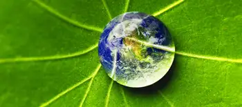 Insuring the future of the global environment