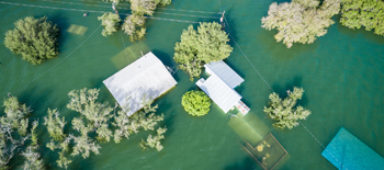 Disaster Resiliance