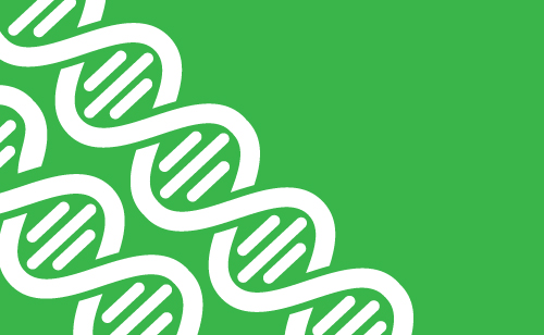 DNA in white on a green background DNA in white on a green background