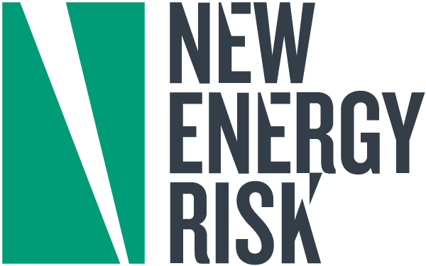 New Energy Risk